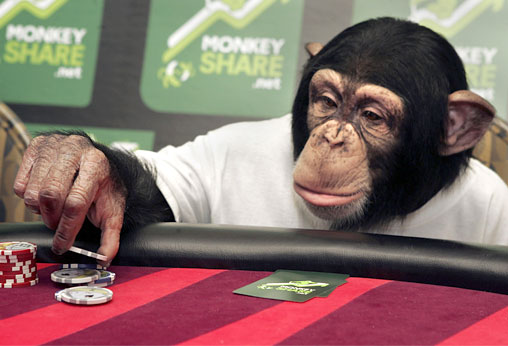 Cuddles-the-poker-playing-chimpanzee
